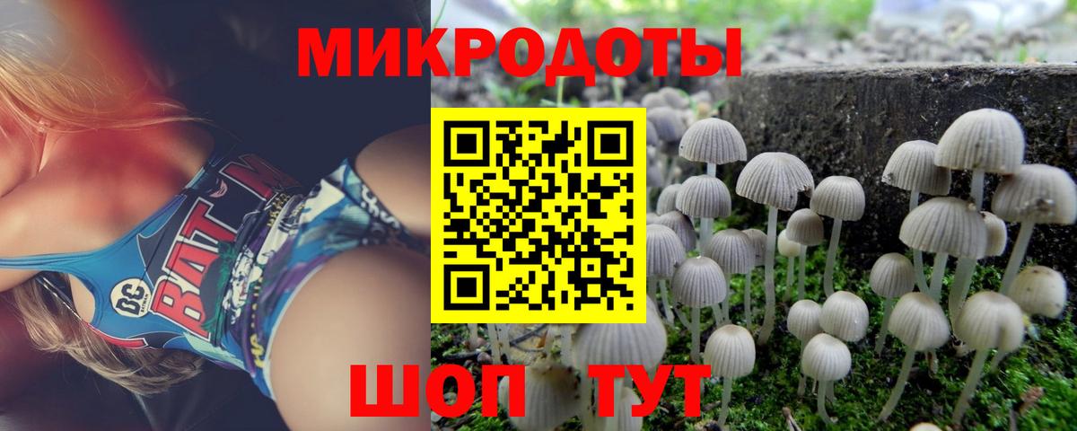 Псилоцибиновые грибы прущие грибы Наро-Фоминск